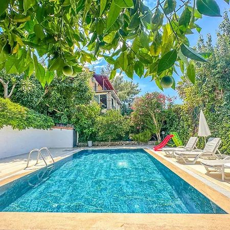 Dylan - Oludeniz,fethiye וילה פאטהיה