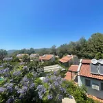 Dylan - Oludeniz,fethiye Villa *