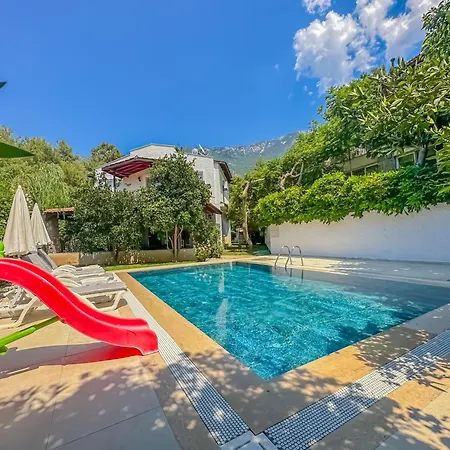 Dylan - Oludeniz,fethiye 빌라 *