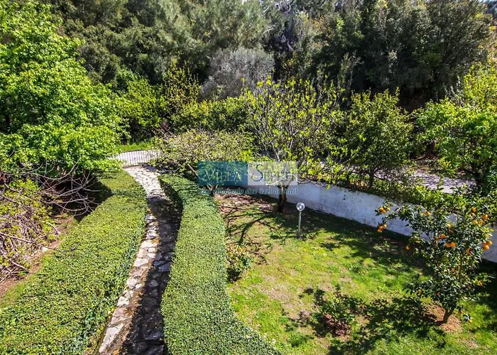 Dylan - Oludeniz,fethiye *