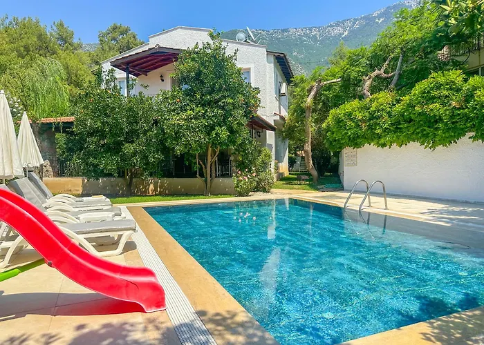 Dylan - Oludeniz,fethiye