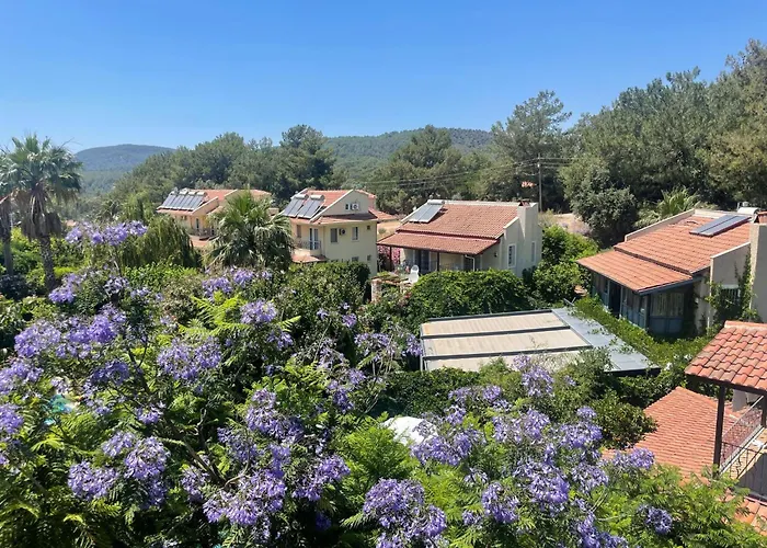 Dylan - Oludeniz,fethiye