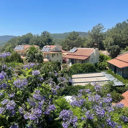 Dylan - Oludeniz,fethiye