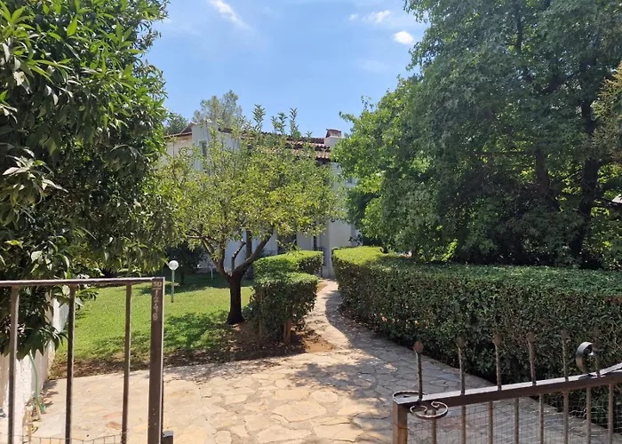 Dylan - Oludeniz,fethiye